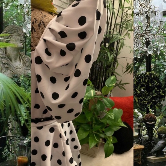 CQ by CQ POLKA DOT PRINT MINI DRESS - Picture 7 of 9